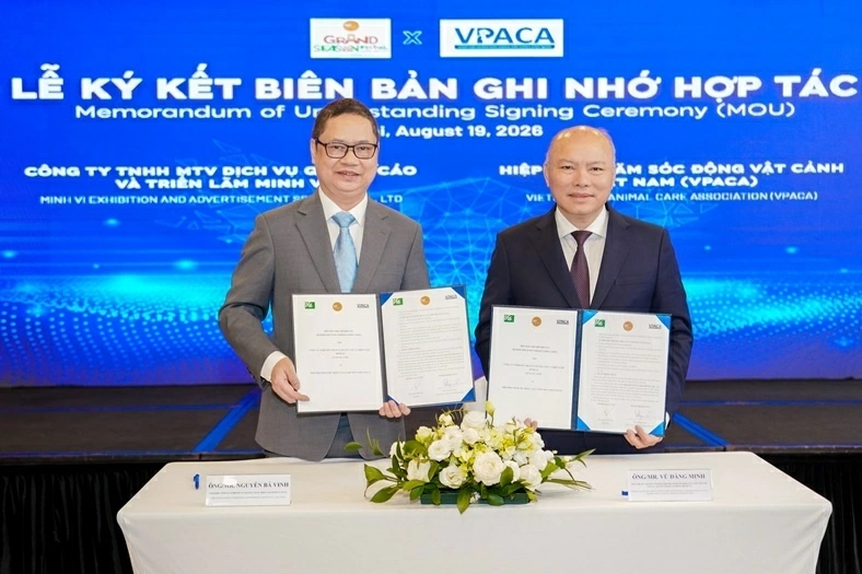 Gen Z đang định hình lại thị trường thú cưng Việt Nam