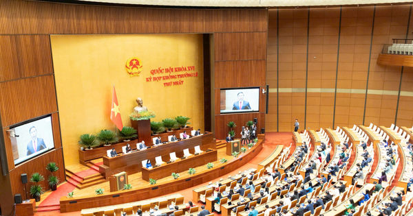 Chương trình phát triển nông thôn 800 nghìn tỷ đồng: Cơ hội nào để thu nhập nông dân tăng gấp ba?