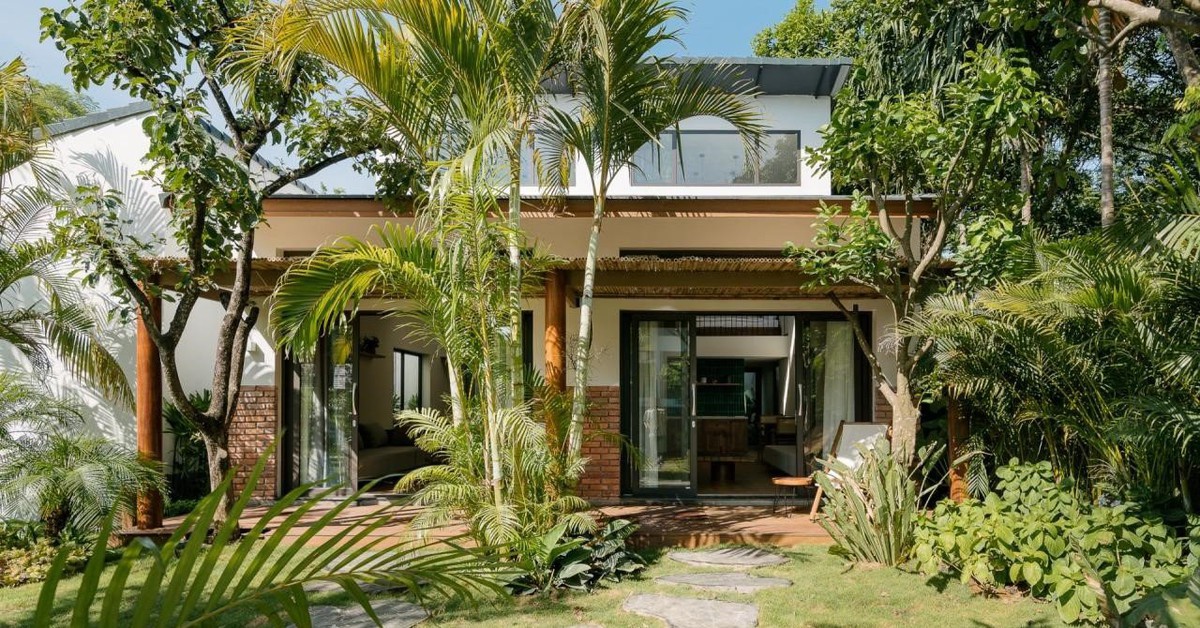 Cây bưởi, cau, húng quế, mộc hương và lộc vừng trong nếp nhà Việt