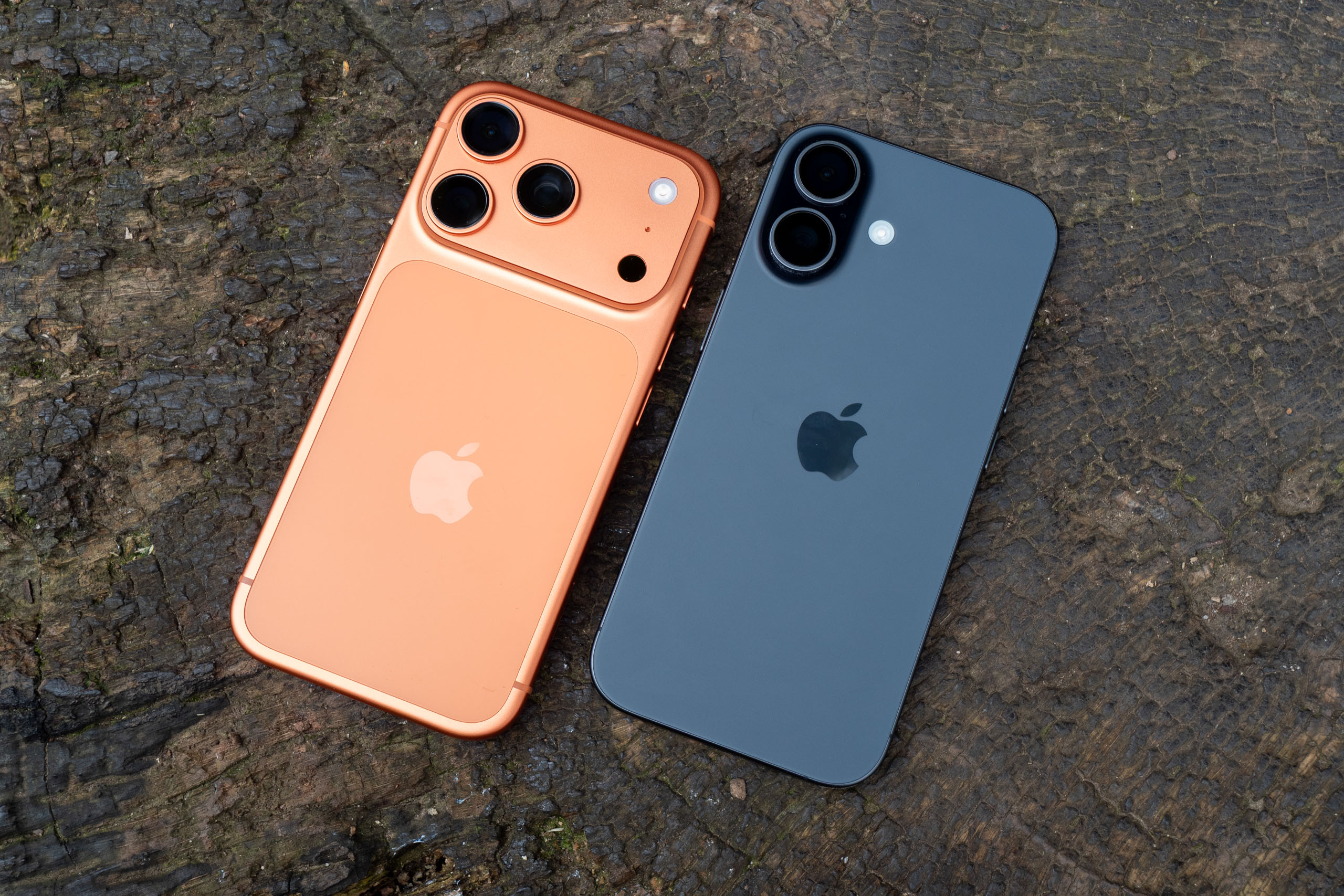 iPhone cũ vẫn chụp ảnh đẹp: Bạn chưa cần nâng cấp