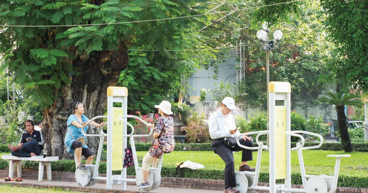 Chuẩn bị sức khỏe từ tuổi trẻ: Chiến lược phòng bệnh toàn diện cho người cao tuổi