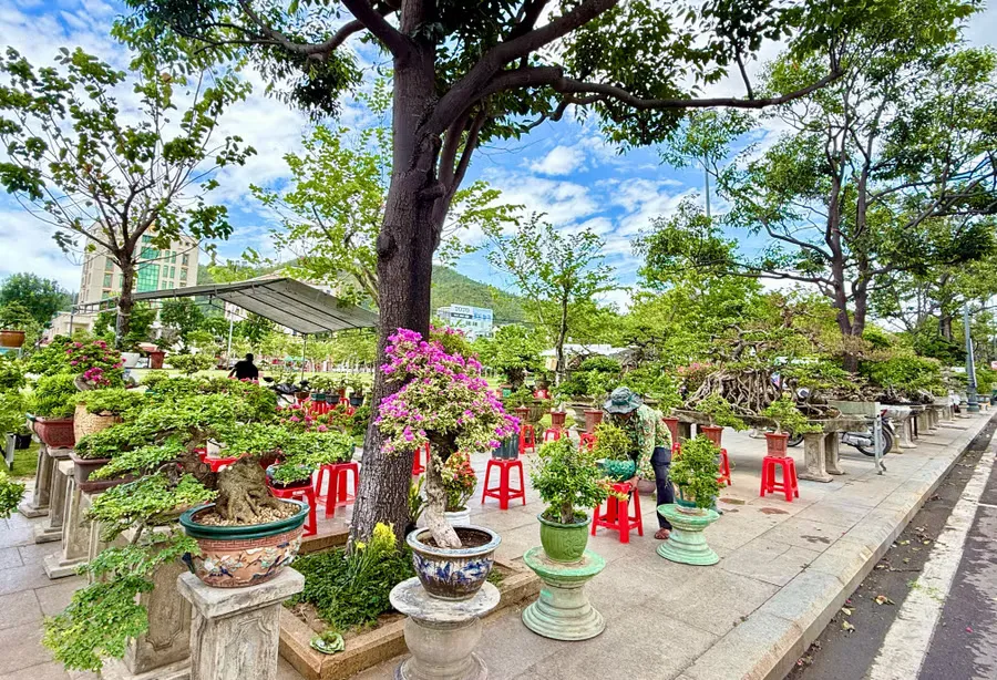 5 trải nghiệm ‘nối biển liền rừng’ tại Gia Lai dịp Quốc khánh 2-9