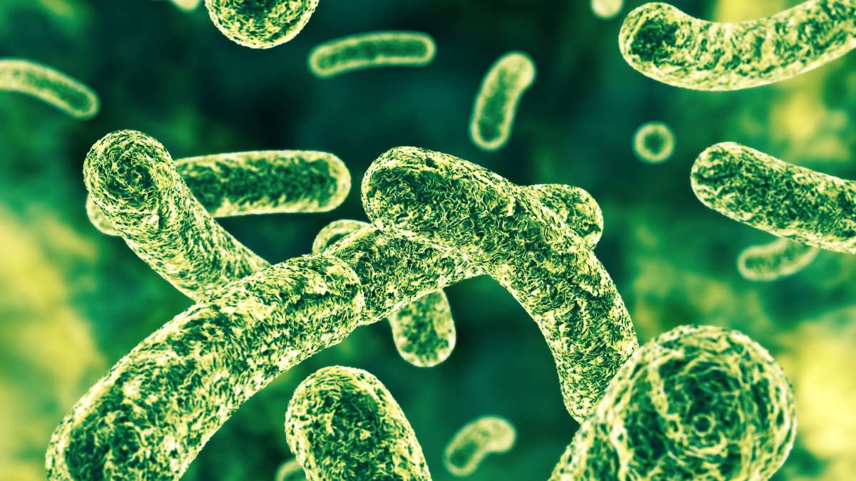 Perlukah Ujian Microbiome Usus Untuk Jaga Kesihatan Pencernaan?
