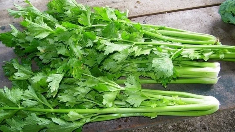 Những loại rau xanh quen thuộc có thể âm thầm làm hại thận