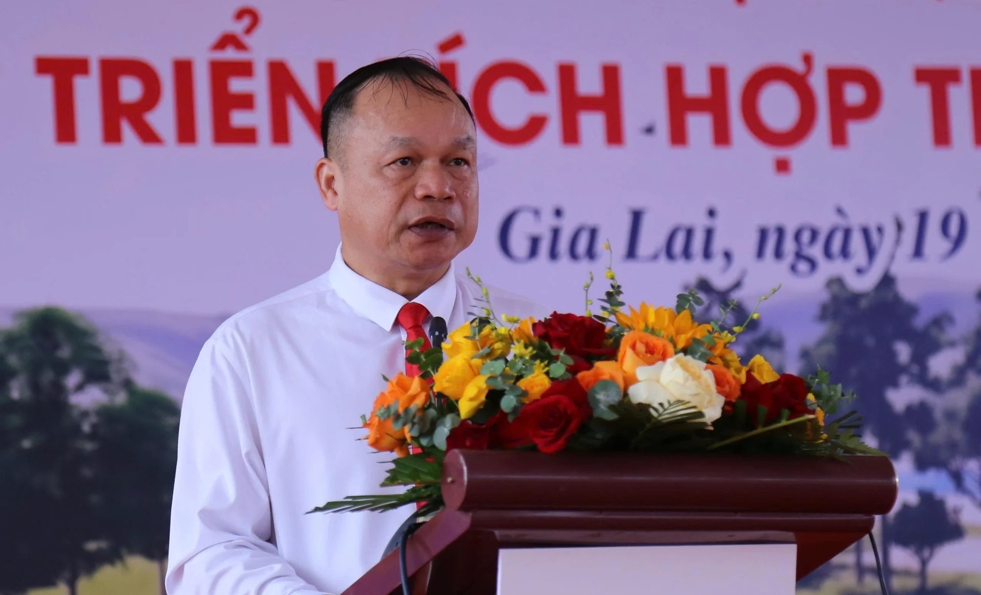 Gia Lai chi 2.660 tỷ cho trục ven biển 40km: Bước ngoặt logistics và không gian phát triển