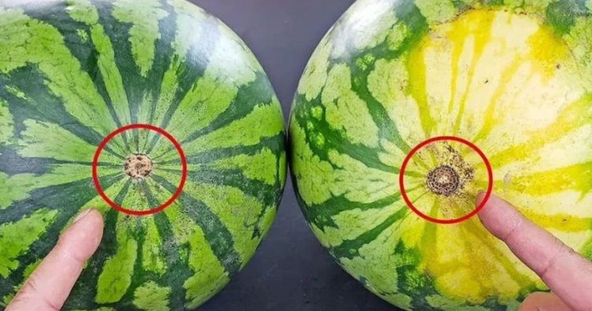 Cách chọn quả na và dưa hấu ngon, chín ngọt