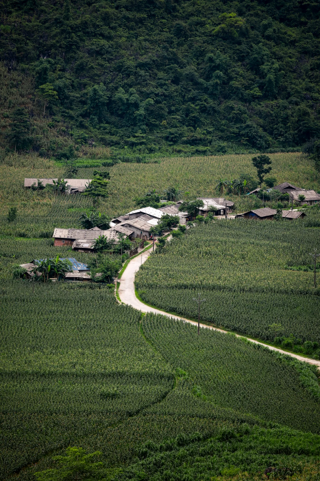 Vì sao Ninh Bình, Hà Giang và Hội An lọt top đẹp nhất Đông Nam Á?