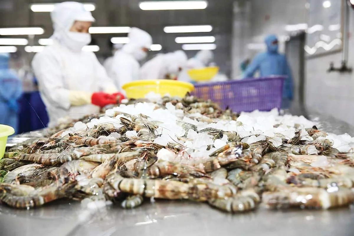 Thuế bổ sung 12,5% siết xuất khẩu thủy sản sang Mỹ: Doanh nghiệp phải thắng bằng giá trị, không chỉ bằng giá