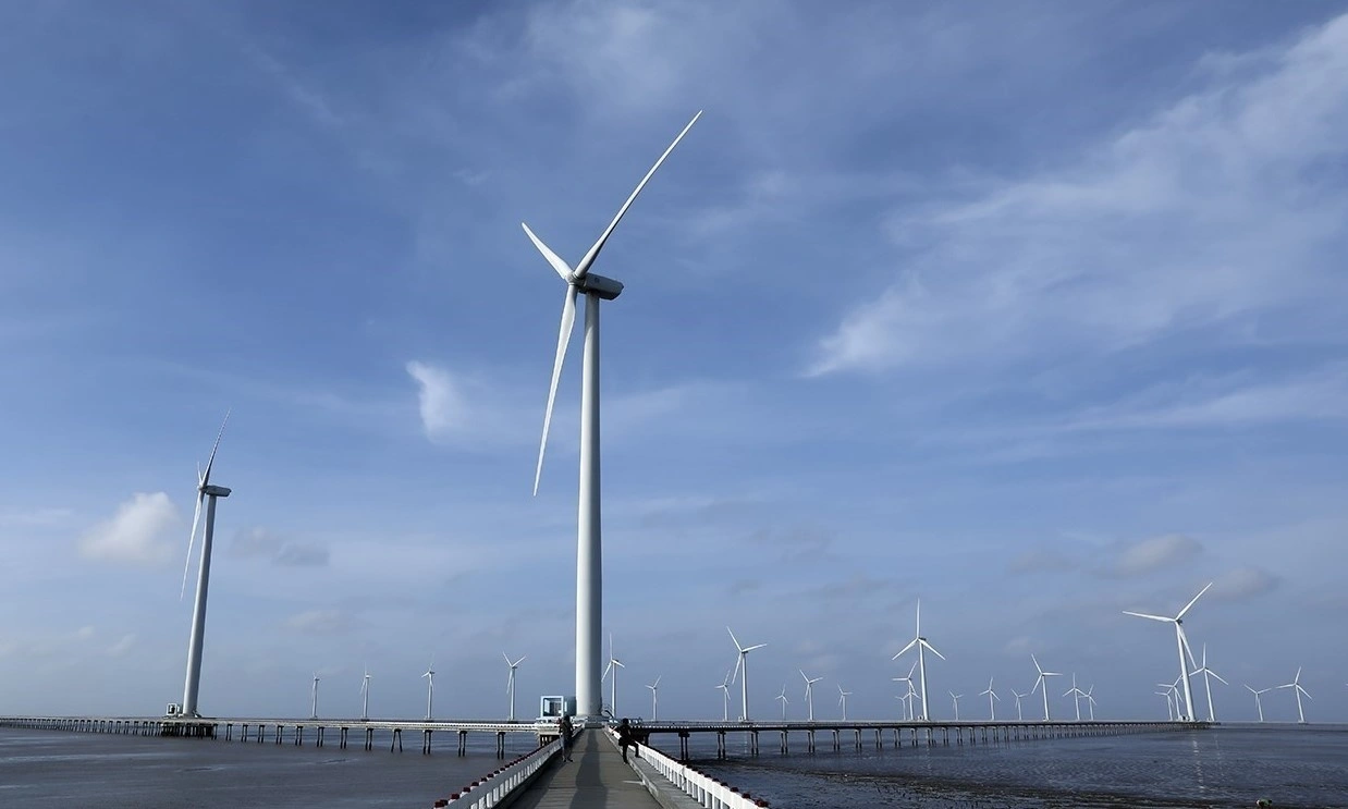 Cà Mau phê duyệt 4 dự án điện gió 210 MW: Bước nhảy chiến lược cho năng lượng tái tạo