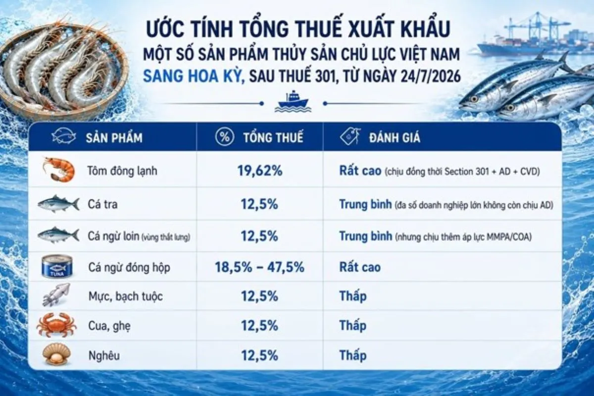 Thuế Section 301 Mỹ: Cú sốc buộc thủy sản Việt Nam phải tái cấu trúc