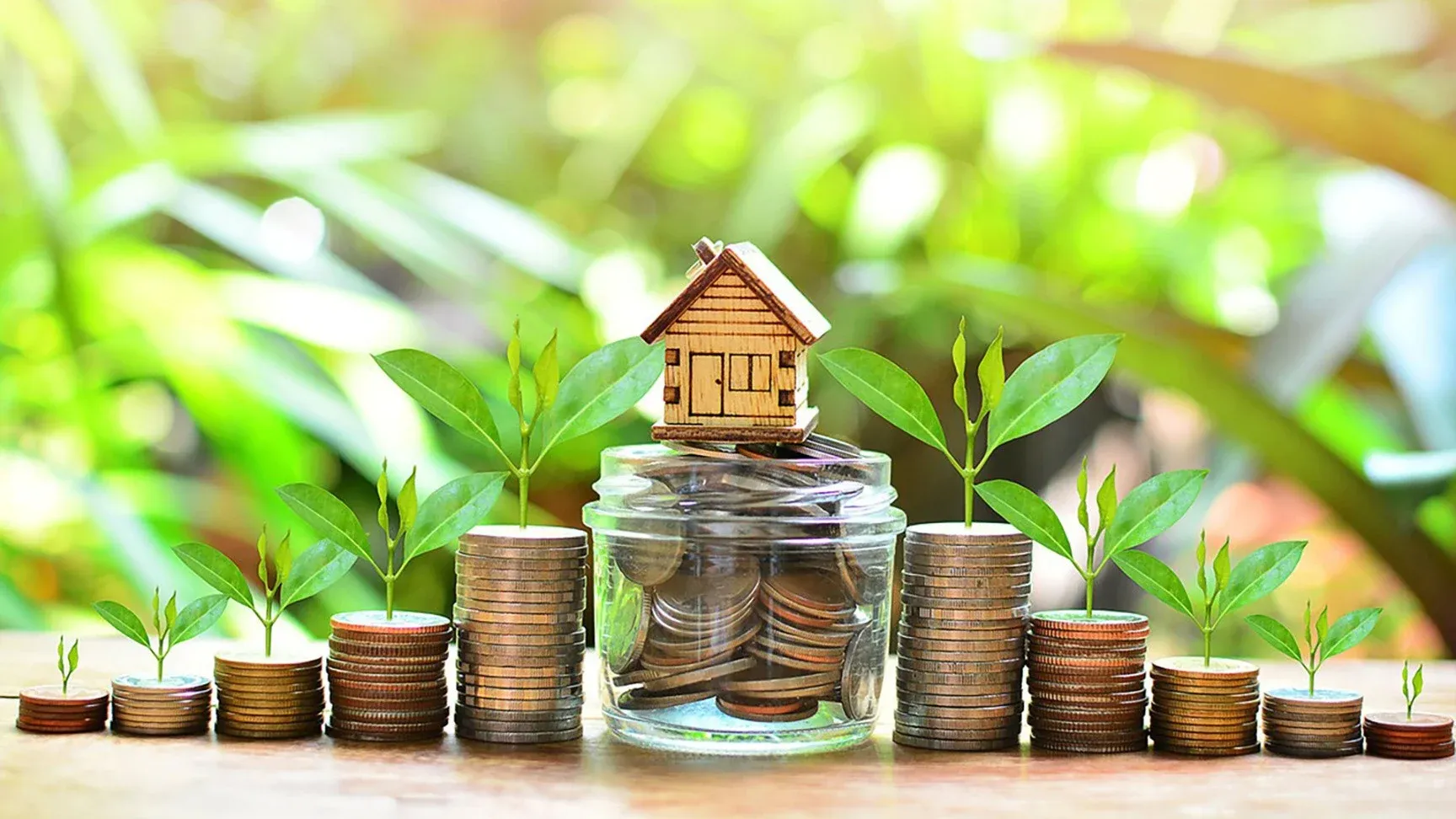 Ngân hàng Việt Nam đua nhau ra mắt sản phẩm tài chính xanh