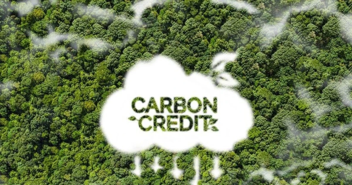 Tín chỉ carbon và tài chính xanh: Việt Nam định hình thị trường khí hậu khu vực