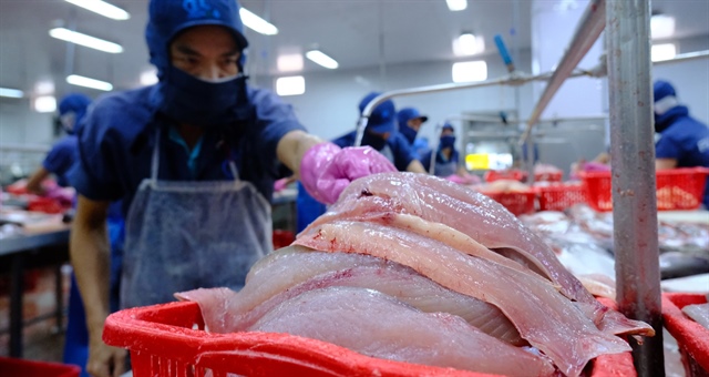 Cá tra Việt Nam xoay trục khỏi thị trường Mỹ, tìm đường sống ở Trung Quốc