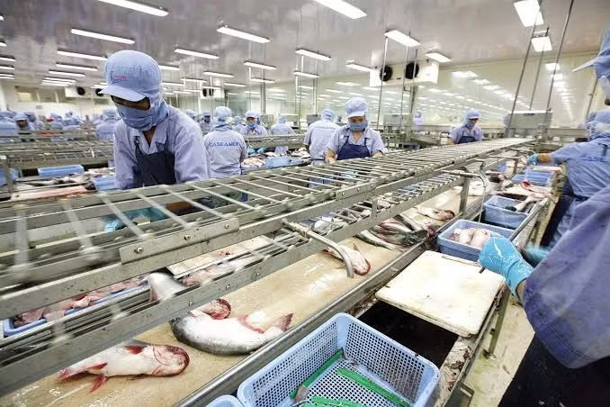 Xuất khẩu nông sản đa dạng hóa: từ gạo, thủy sản sang sầu riêng và rau quả