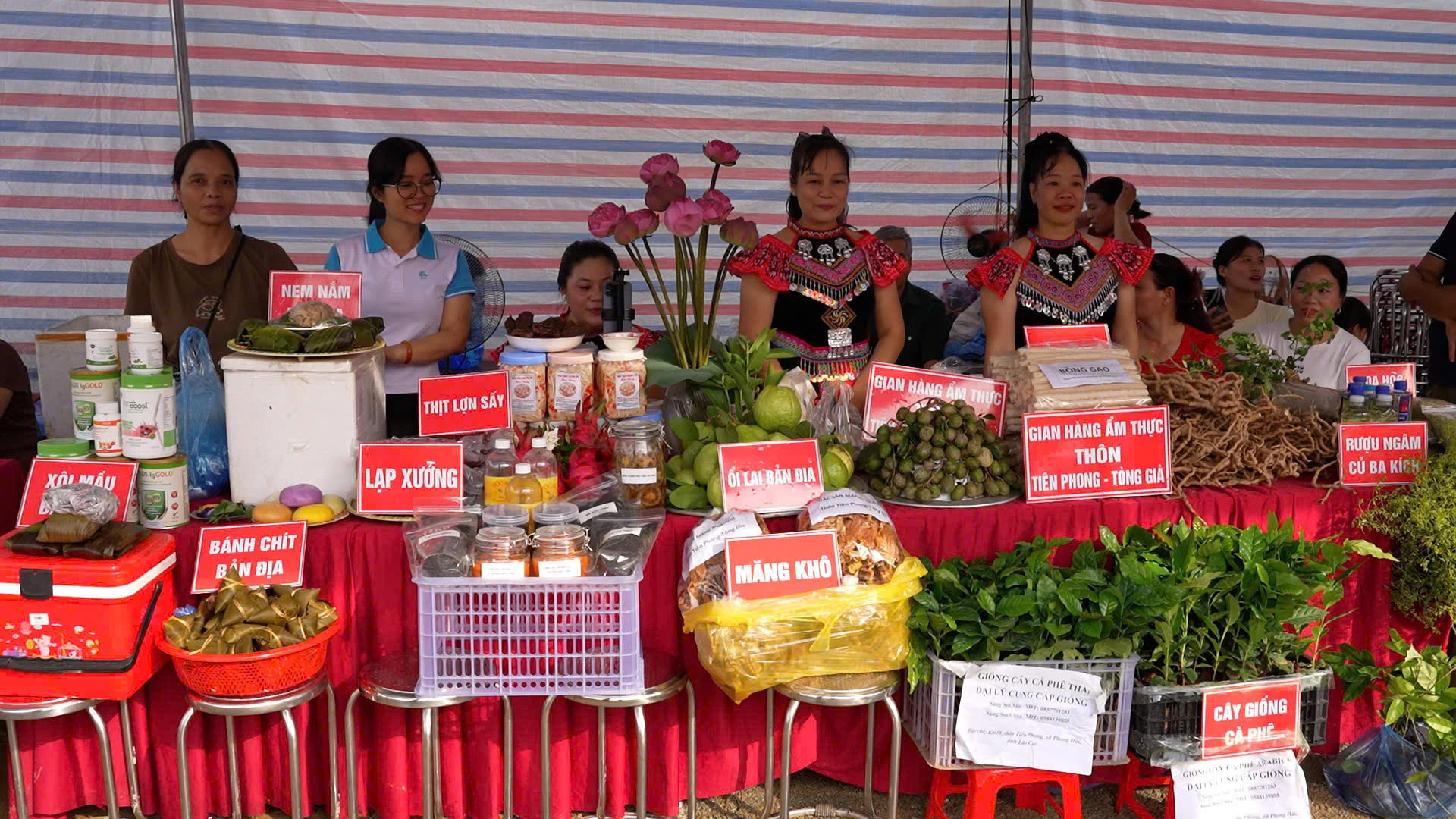 Giải chạy vùng cao Lào Cai: Khi bước chân gắn với mùa vàng và bản sắc