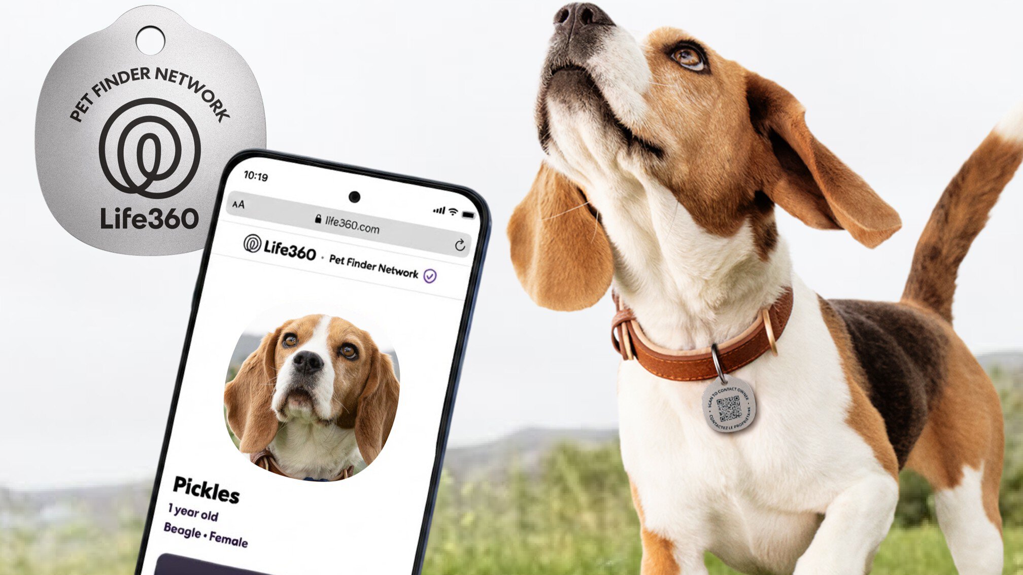 GPS Tracker và Vòng Cổ Thông Minh cho Thú Cưng: Chọn Thiết Bị An Toàn Đáng Tiền Nhất