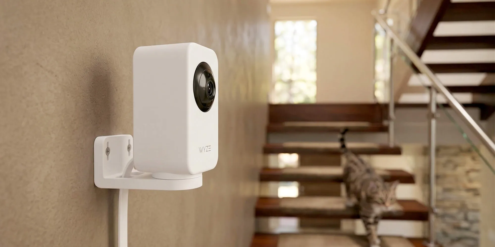 Camera giám sát ngoài trời giá rẻ: Ring Spotlight 2K, Tapo C645D và Wyze Indoor Cam Pan