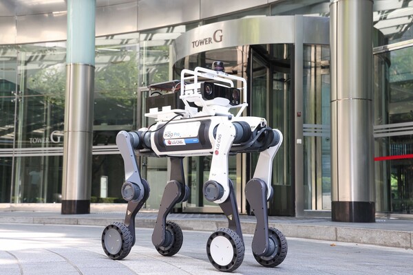 Robot và AI: “Người đồng hành” mới của tuổi già Đông Á