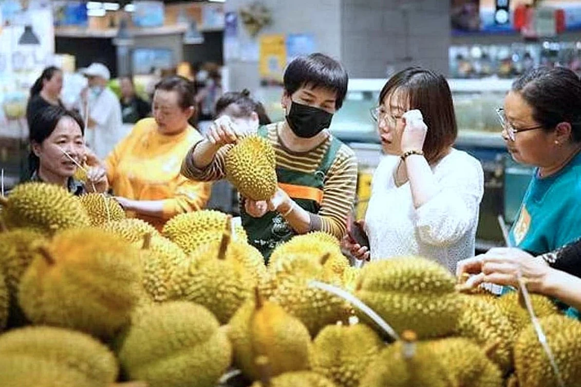 Sầu riêng Việt Nam – Trung Quốc: Kết nối chuỗi giá trị mới