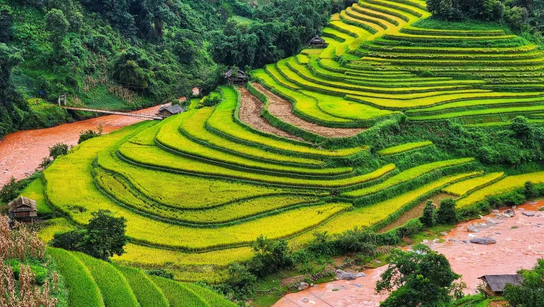 Mù Cang Chải mùa vàng và cách chụp ruộng bậc thang lúc hoàng hôn