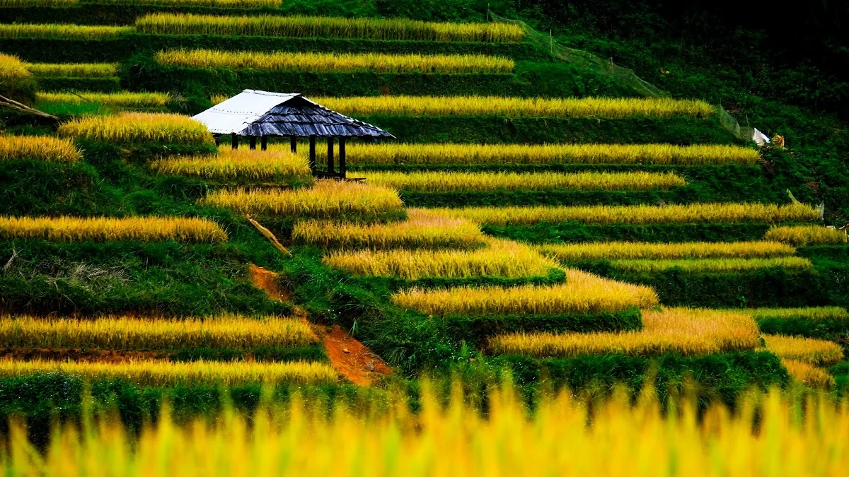 Từ bỏ điểm nóng: Du khách thế giới đang chọn những vùng đất ít được biết