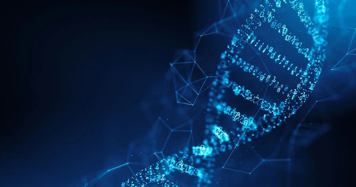 AI Phát Hiện Ung Thư Sớm: Từ Giải Mã DNA Đến Ảnh CT