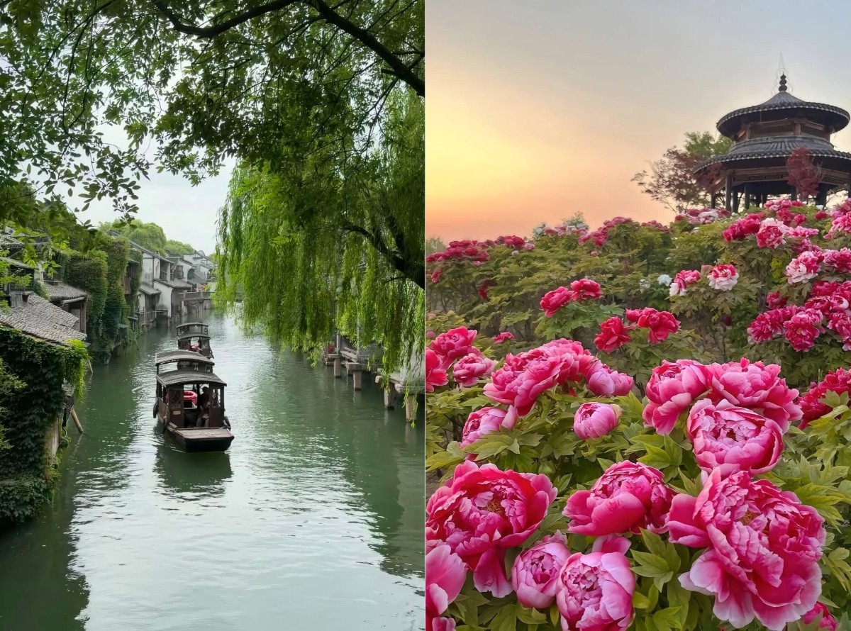 Miễn visa quá cảnh 240 giờ: cơ hội vàng cho khách Việt và hãng bay