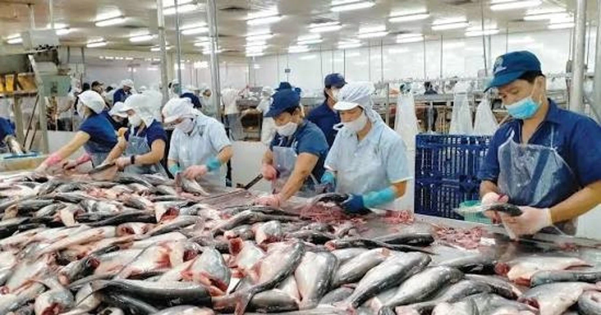 Xuất khẩu nông sản đa dạng hóa: từ gạo, thủy sản sang sầu riêng và rau quả