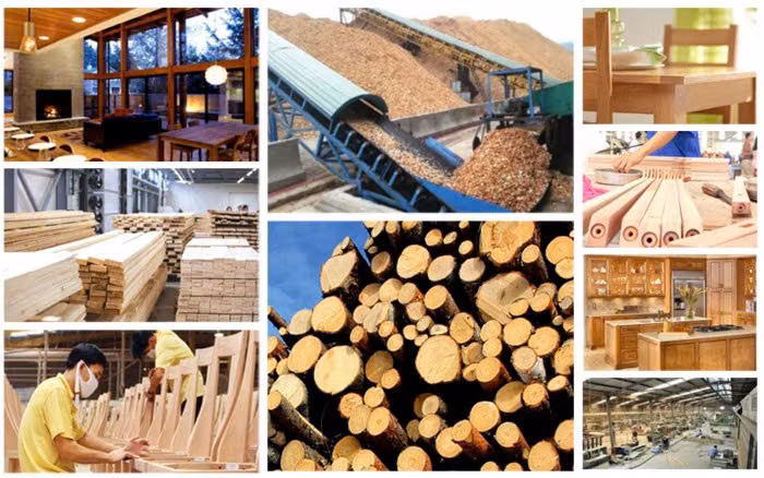 Dữ liệu số: chìa khóa mới giữ vị thế cho ngành gỗ