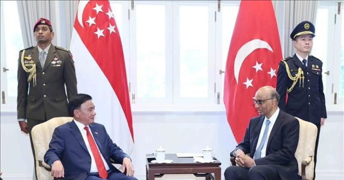 Đối tác chiến lược toàn diện Việt Nam-Singapore: Bước nhảy trong AI, bán dẫn và tài chính xanh