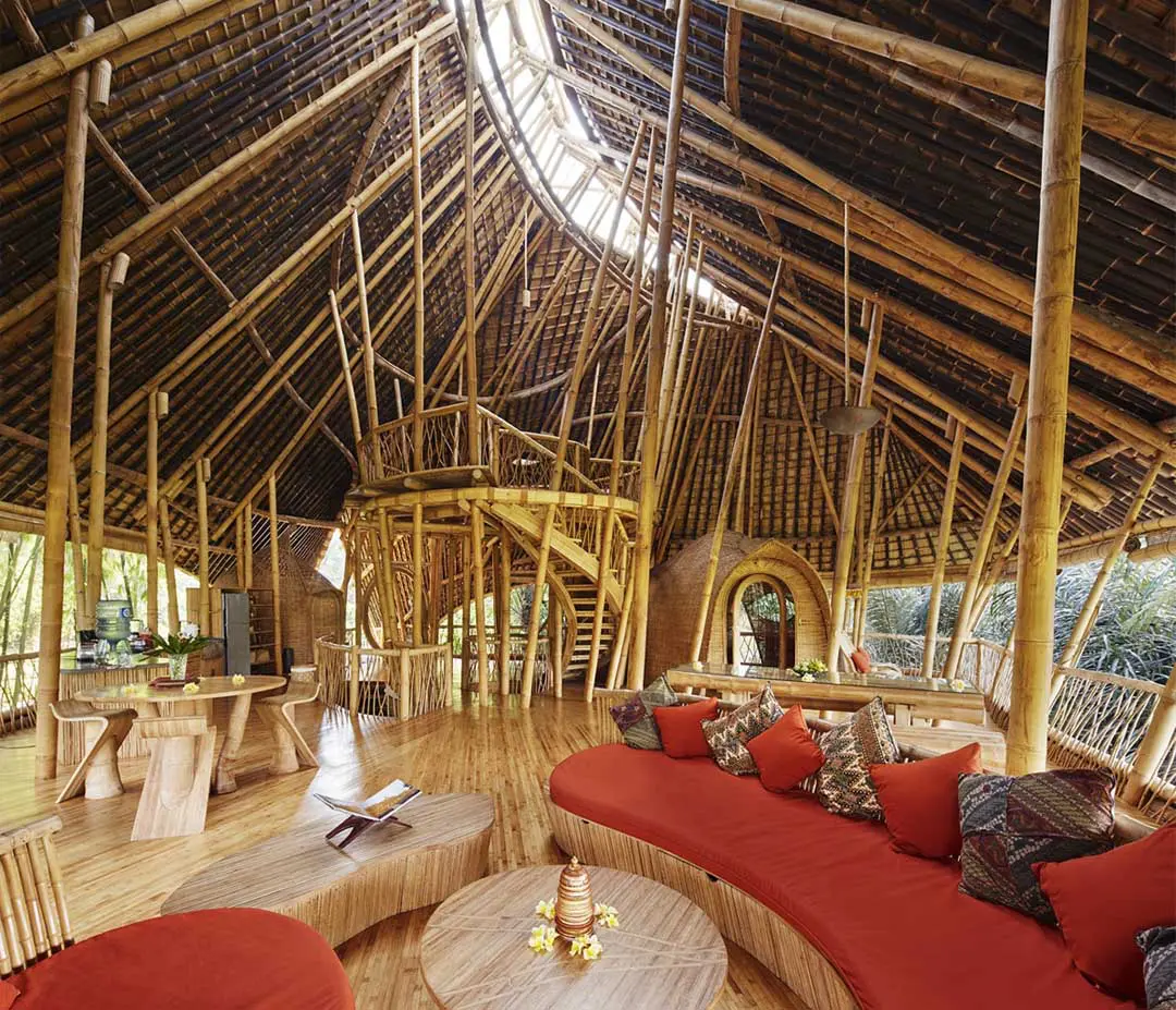 Membawa Alam Ke Dalam Rumah: Panduan Lengkap Desain Biophilic