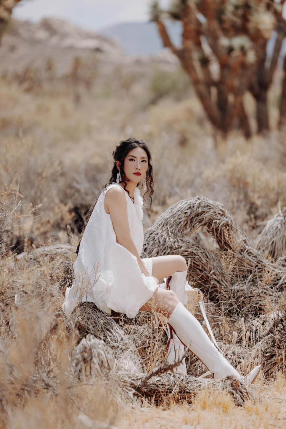 VUNGOC&SON mang “Mùa Hè Đẹp Nhất” đến sa mạc Joshua Tree