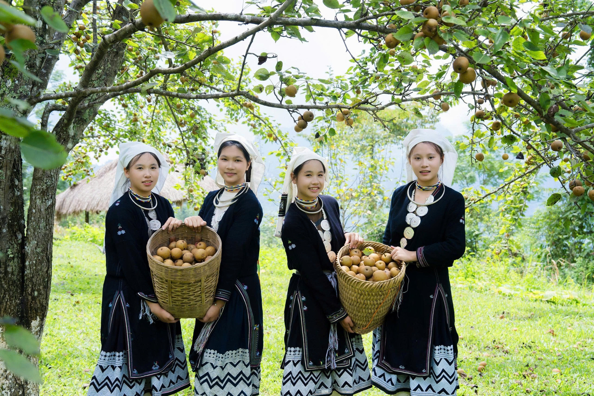 Miền Tây thu nhỏ gần Hà Nội: lựa chọn sinh thái cho người mê sông nước