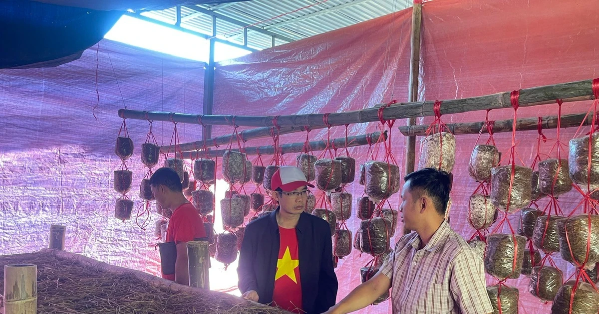 Những lớp đào tạo nghề ngắn hạn đang đổi đời lao động yếu thế