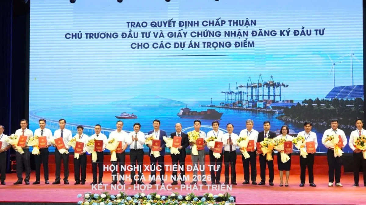 Siêu cảng Cà Mau: Cú nhảy chiến lược từ vùng ba mặt biển