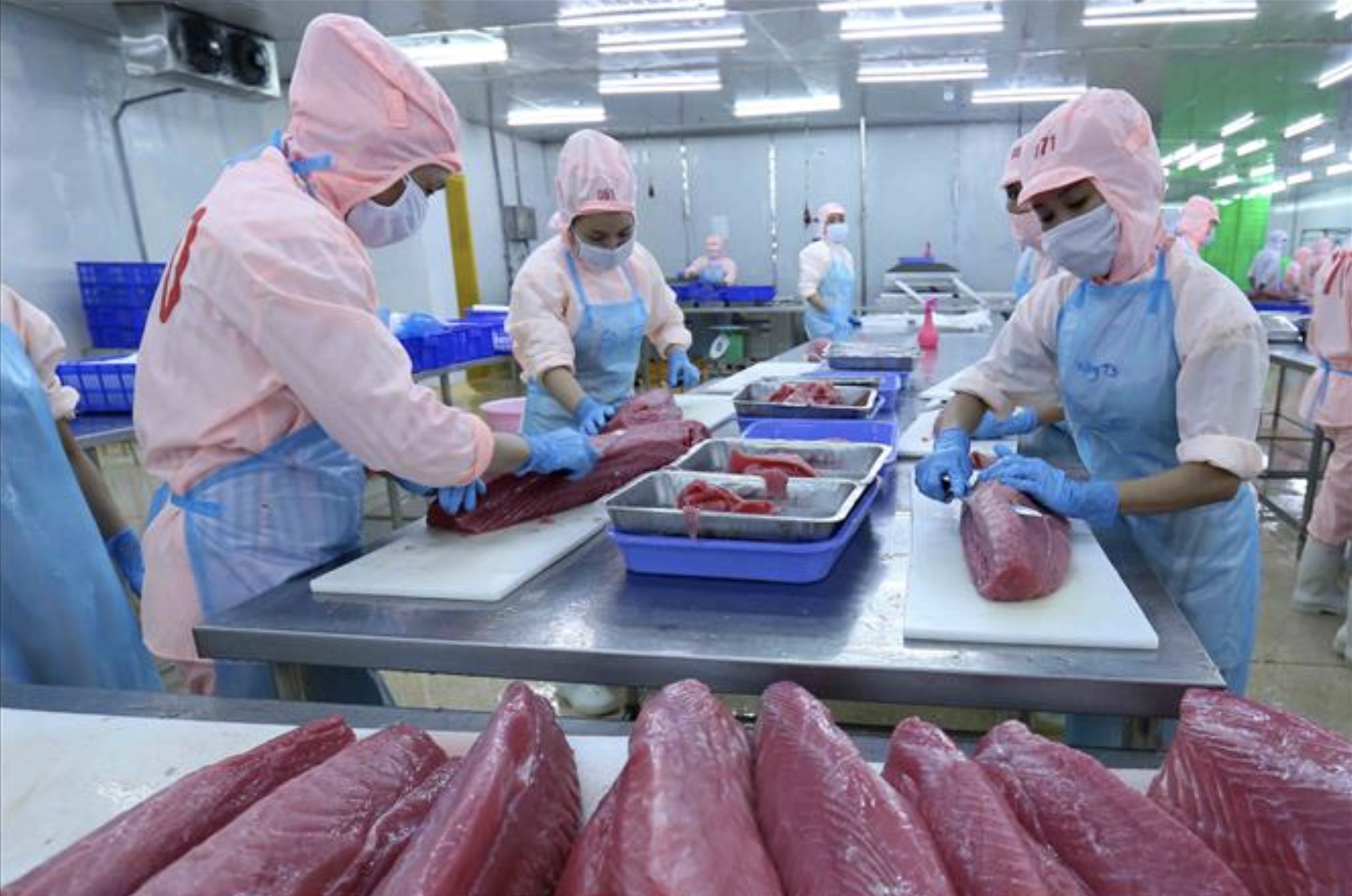 Thuế bổ sung 12,5% siết xuất khẩu thủy sản sang Mỹ: Doanh nghiệp phải thắng bằng giá trị, không chỉ bằng giá