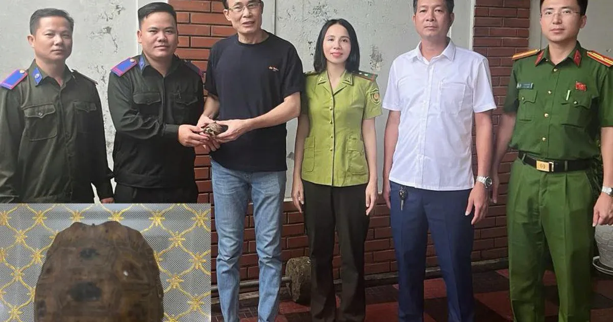 Người dân chủ động giao nộp rùa quý hiếm và bước ngoặt trong ý thức bảo tồn