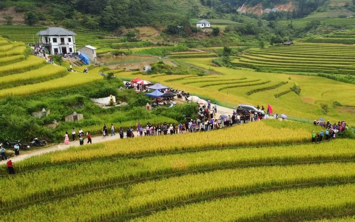 Mù Cang Chải mùa vàng và cách chụp ruộng bậc thang lúc hoàng hôn