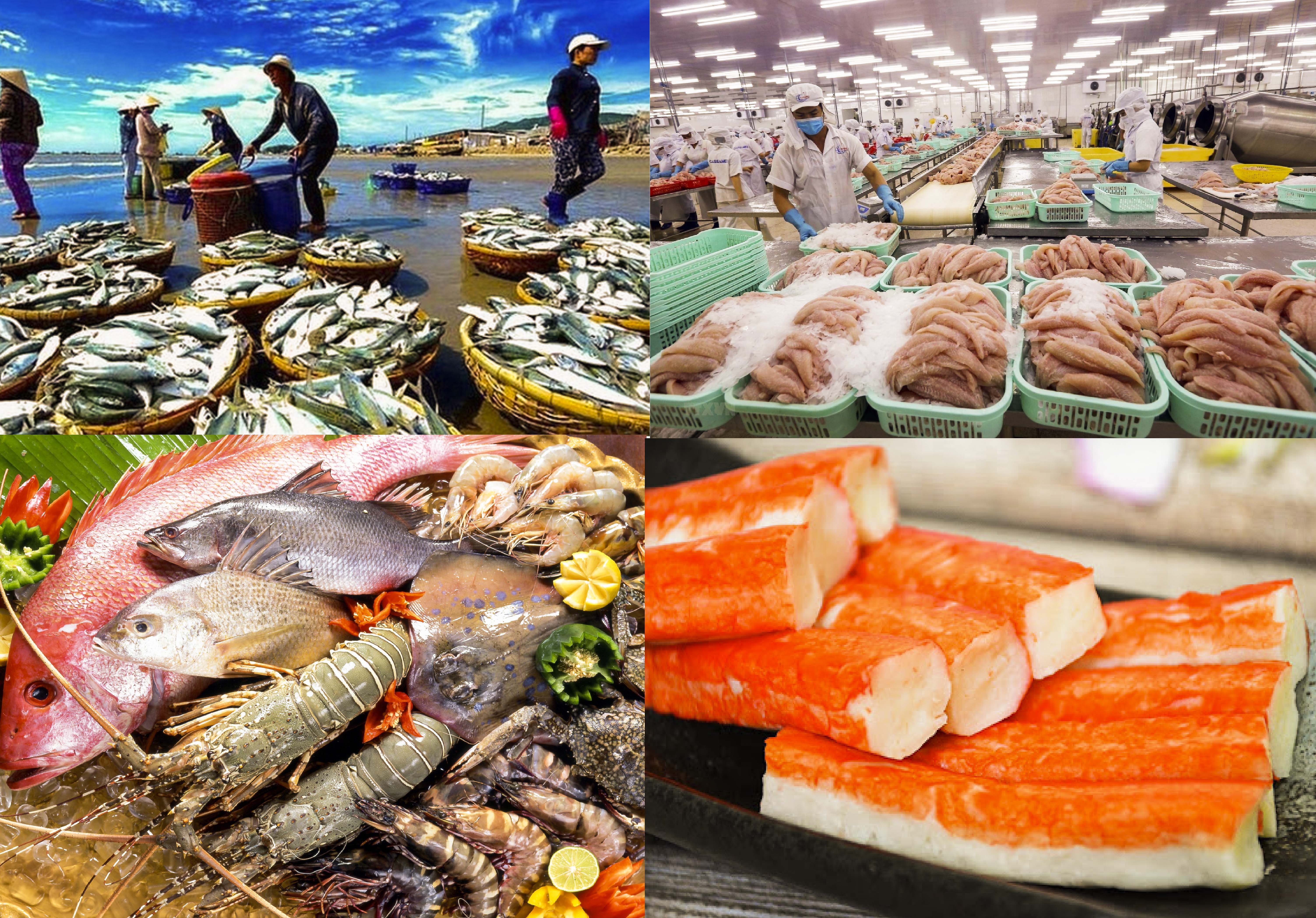 Thuế bổ sung 12,5% siết xuất khẩu thủy sản sang Mỹ: Doanh nghiệp phải thắng bằng giá trị, không chỉ bằng giá