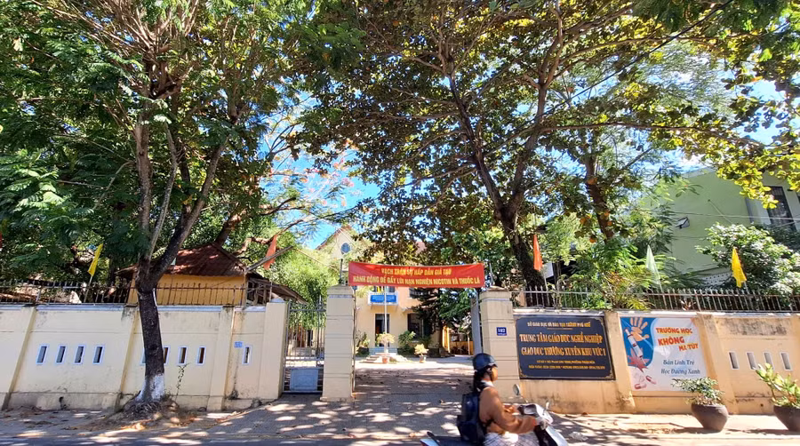 Từ kỹ năng mới đến thu nhập ổn định ở nông thôn