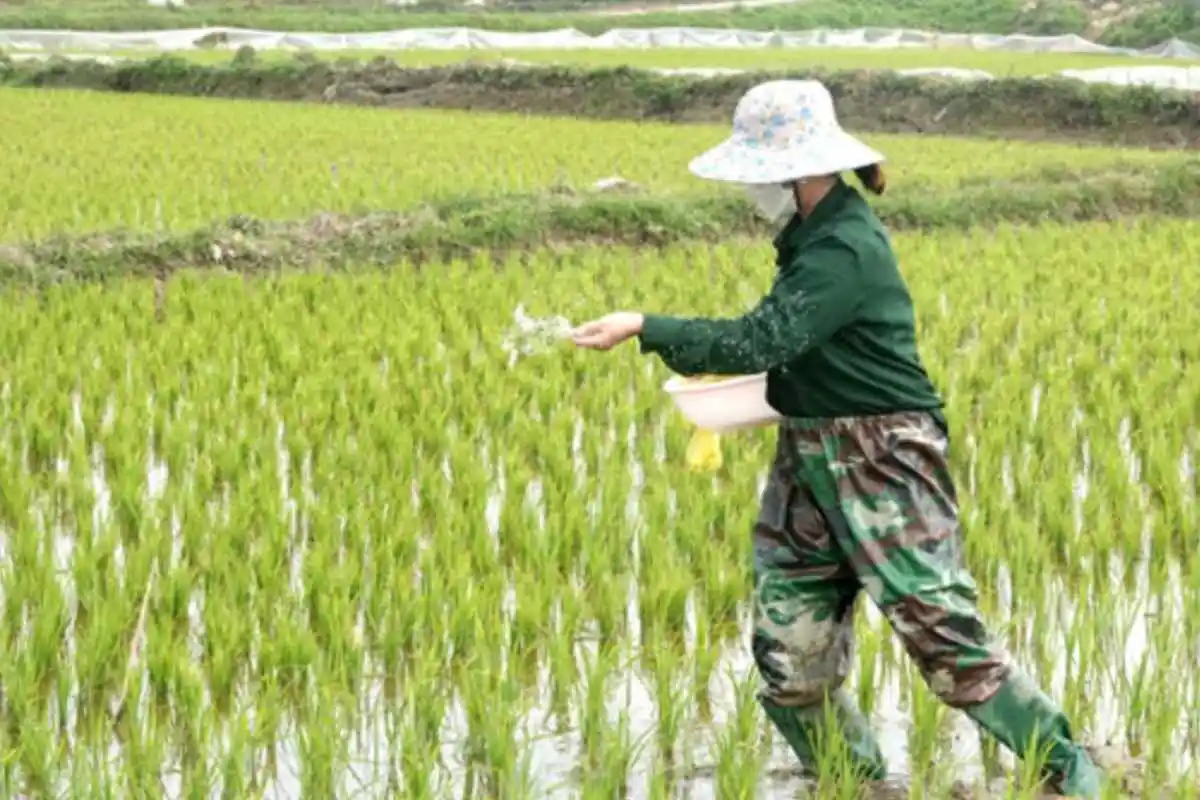 Xuất khẩu phân bón tăng vọt 107,5%: cơ hội hay phép thử cân bằng cung – cầu?