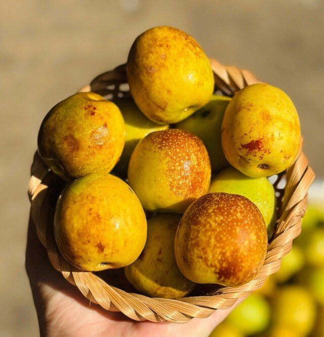 Cách chọn lựu tươi ngon mọng nước: 5 mẹo không nên bỏ qua