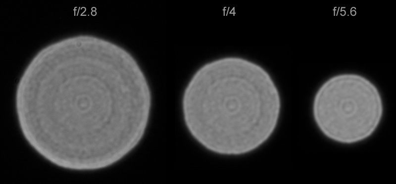 Nikkor Z 28-75mm f/2.8 vs Z MC 105mm f/2.8 VR S