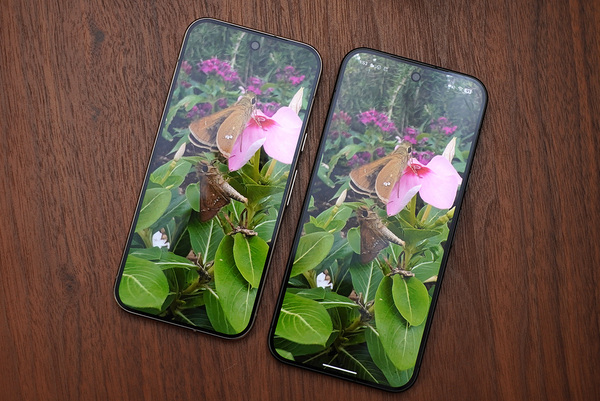 Pixel 11, Pixel 11 Pro hay Pixel 11 Pro XL: Nên chọn mẫu nào?