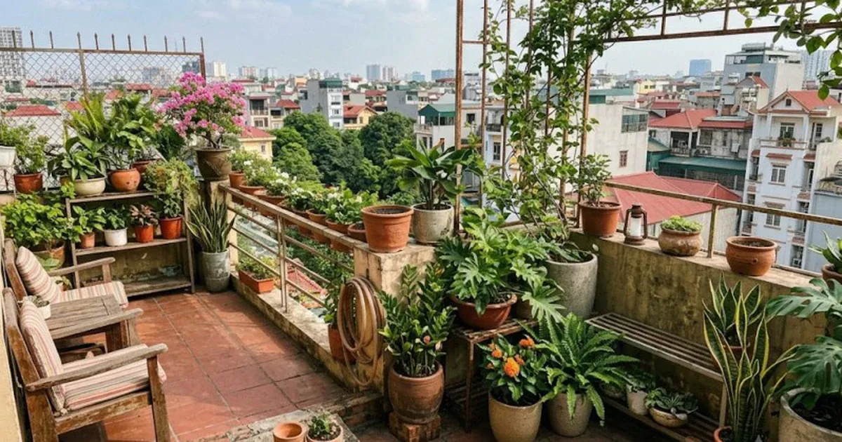 Hướng dẫn an toàn khi bố trí cây xanh trên ban công và sân thượng