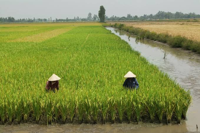 Siêu El Niño: hồi chuông cảnh báo an ninh nước Đông Nam Á