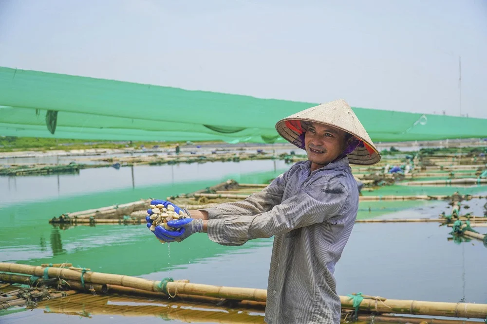 Công nghệ sinh học đang tái định hình nông nghiệp Việt Nam
