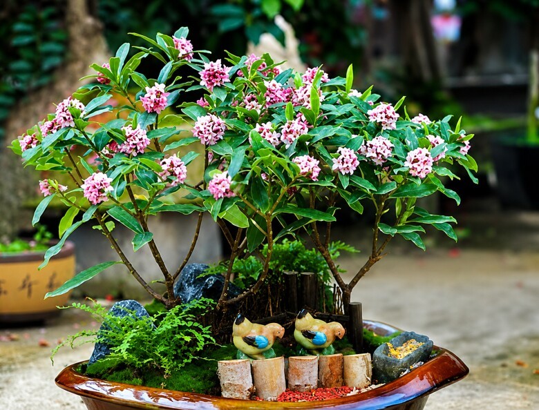 Cây hạnh phúc và cây thơm: Bộ ba cây cảnh hút lộc nên trồng trong nhà