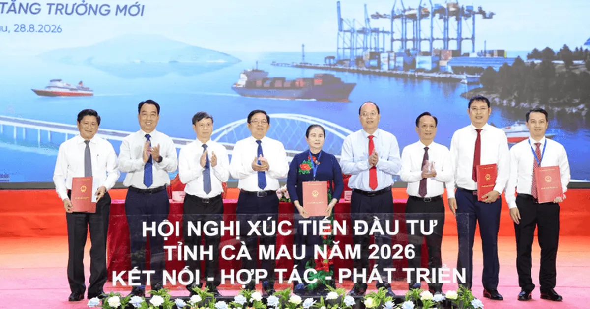 Cà Mau hút 439.000 tỷ đồng: liệu đã sẵn sàng thành cực tăng trưởng mới của Mekong?