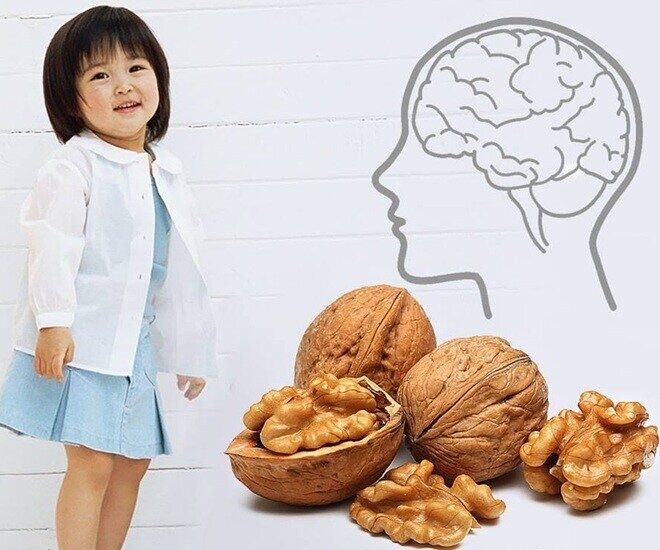 Hạt óc chó và chế độ ăn giúp bé tập trung khi tựu trường